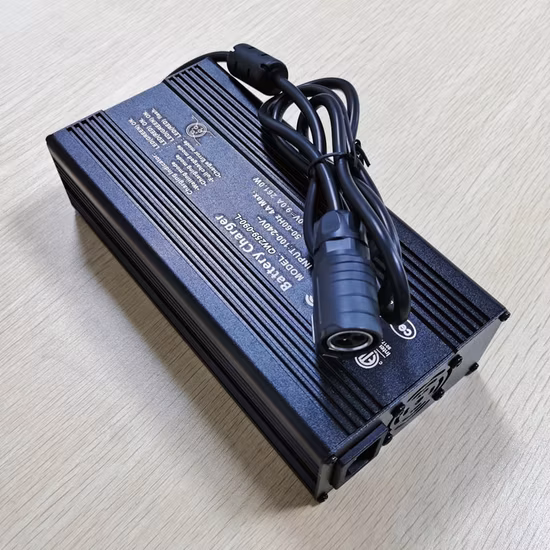 Venta directa de fábrica DC 29,4V 100A 3600W Cargador para 7s 24V 25,9V Li